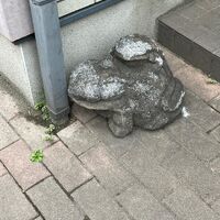 画像1537