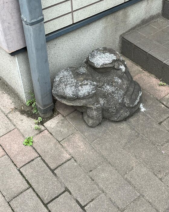 画像1537
